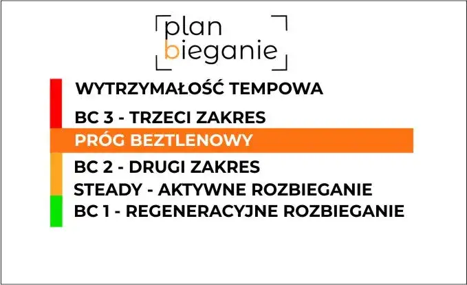 infografika strefy tętna bieganie