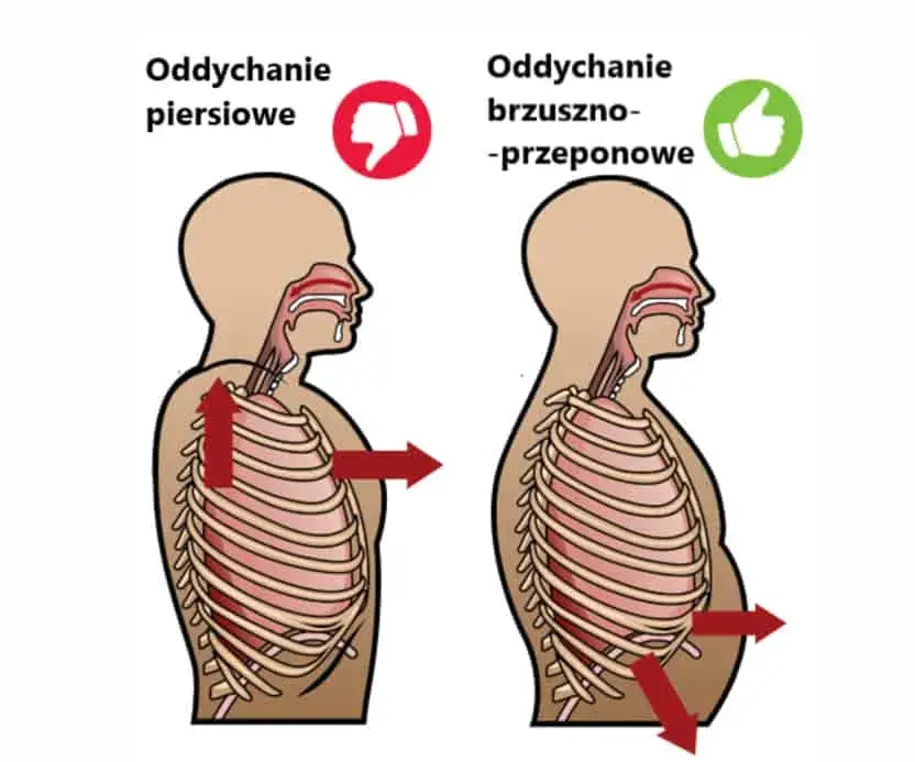 biegacz prawidłowe oddychanie przeponowe